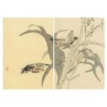 Kono Bairei - Birds amongst flowers, pair of 19th century Japanese woodblock prints, details