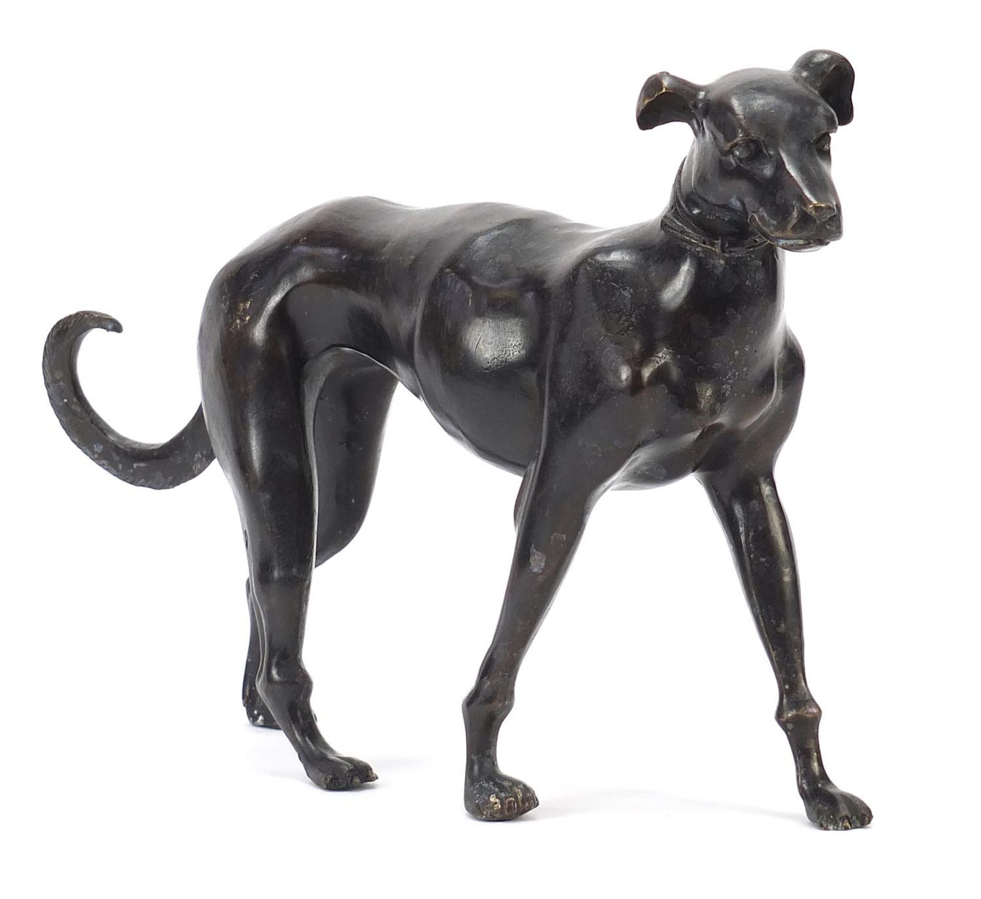 Large patinated bronze Great Dane, 31cm in length :