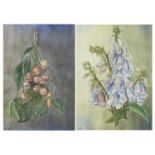 Still life flowers, two botanical watercolours, each signed with monogram GSJ, mounted, framed and