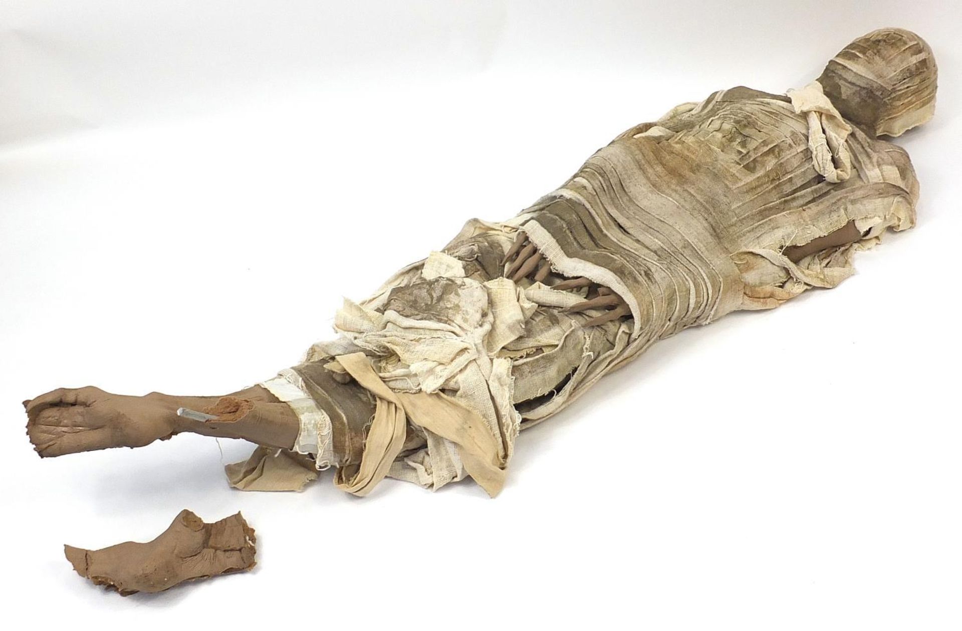 Large model of a Mummy, 205cm in length :