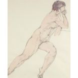 Study of a nude female, pen and ink, mounted, framed and glazed, 44cm x 36cm excluding the mount and