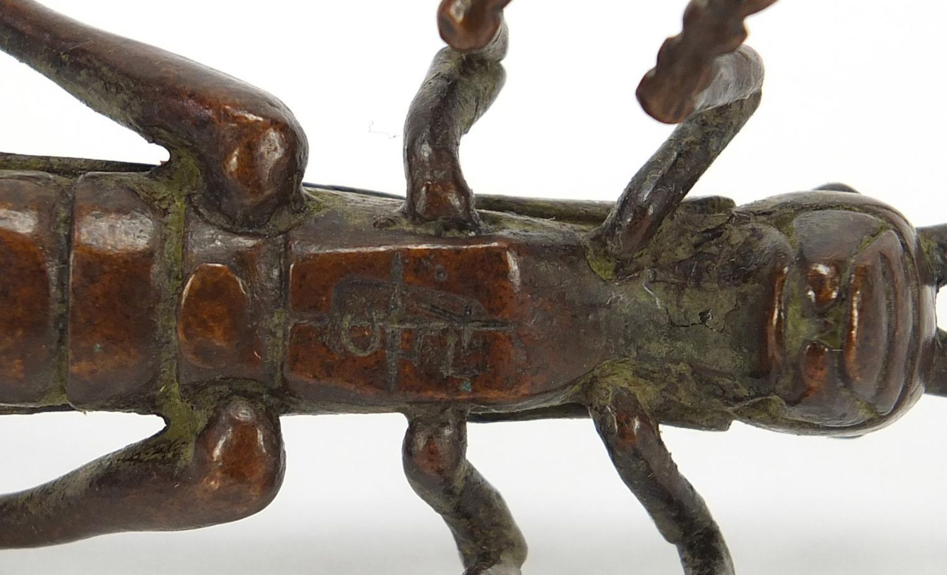 Japanese patinated bronze locust, impressed marks to the base, 11cm in length : - Image 8 of 8