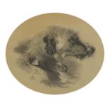 Dog's head, 19th century oval pencil sketch, mounted, framed and glazed, 29cm x 24cm excluding the