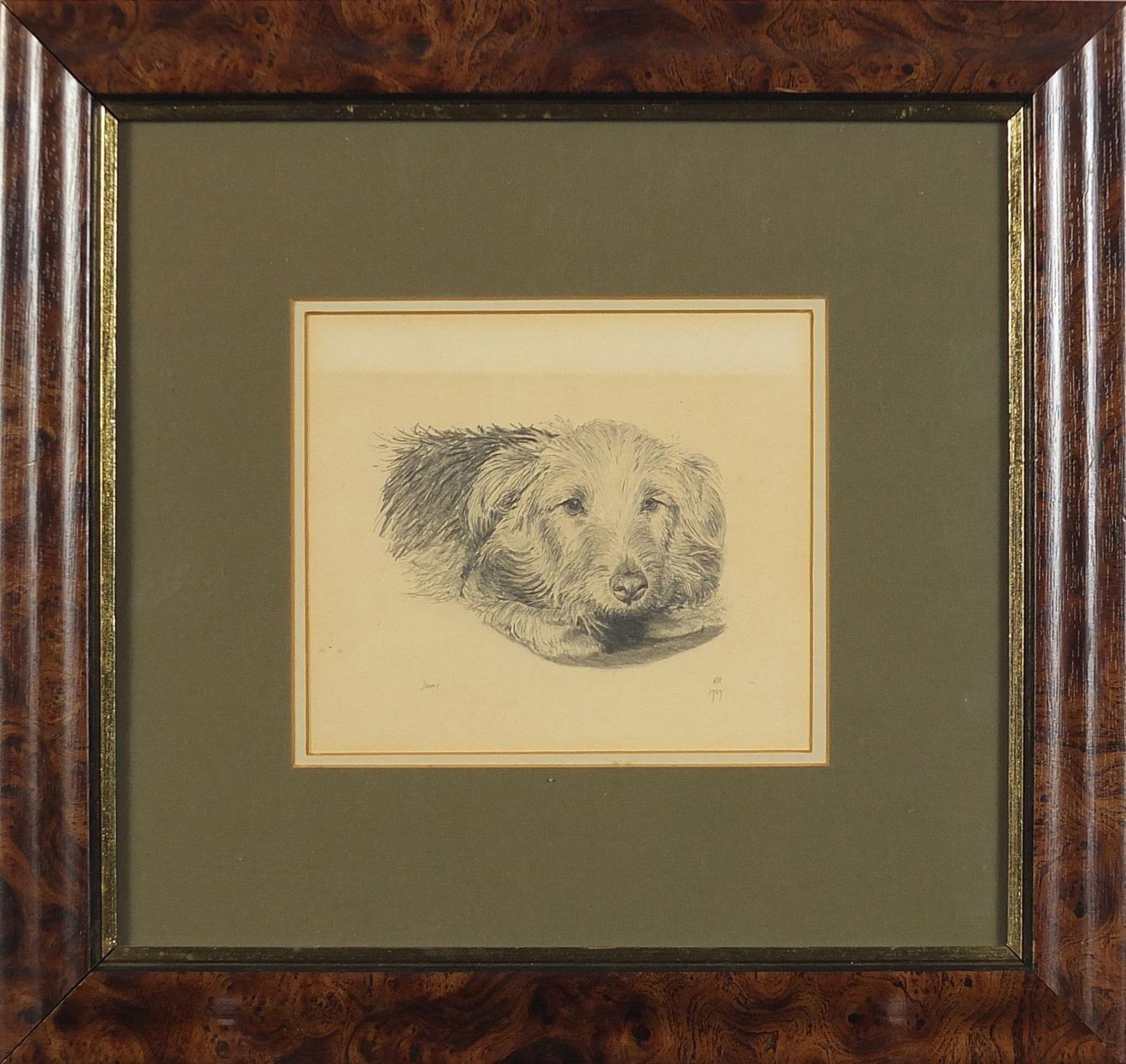 Two dogs, Riff and Jenny, two pencil drawings, mounted, framed and glazed, the largest 15.5cm x 14cm - Image 7 of 8