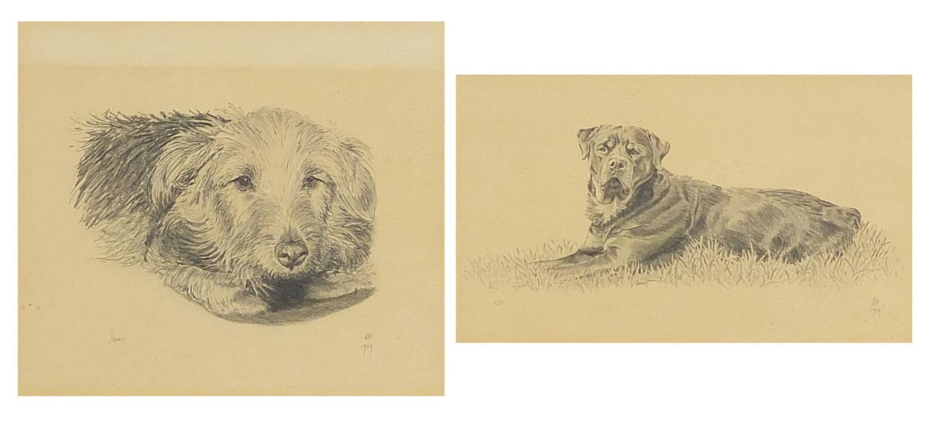 Two dogs, Riff and Jenny, two pencil drawings, mounted, framed and glazed, the largest 15.5cm x 14cm