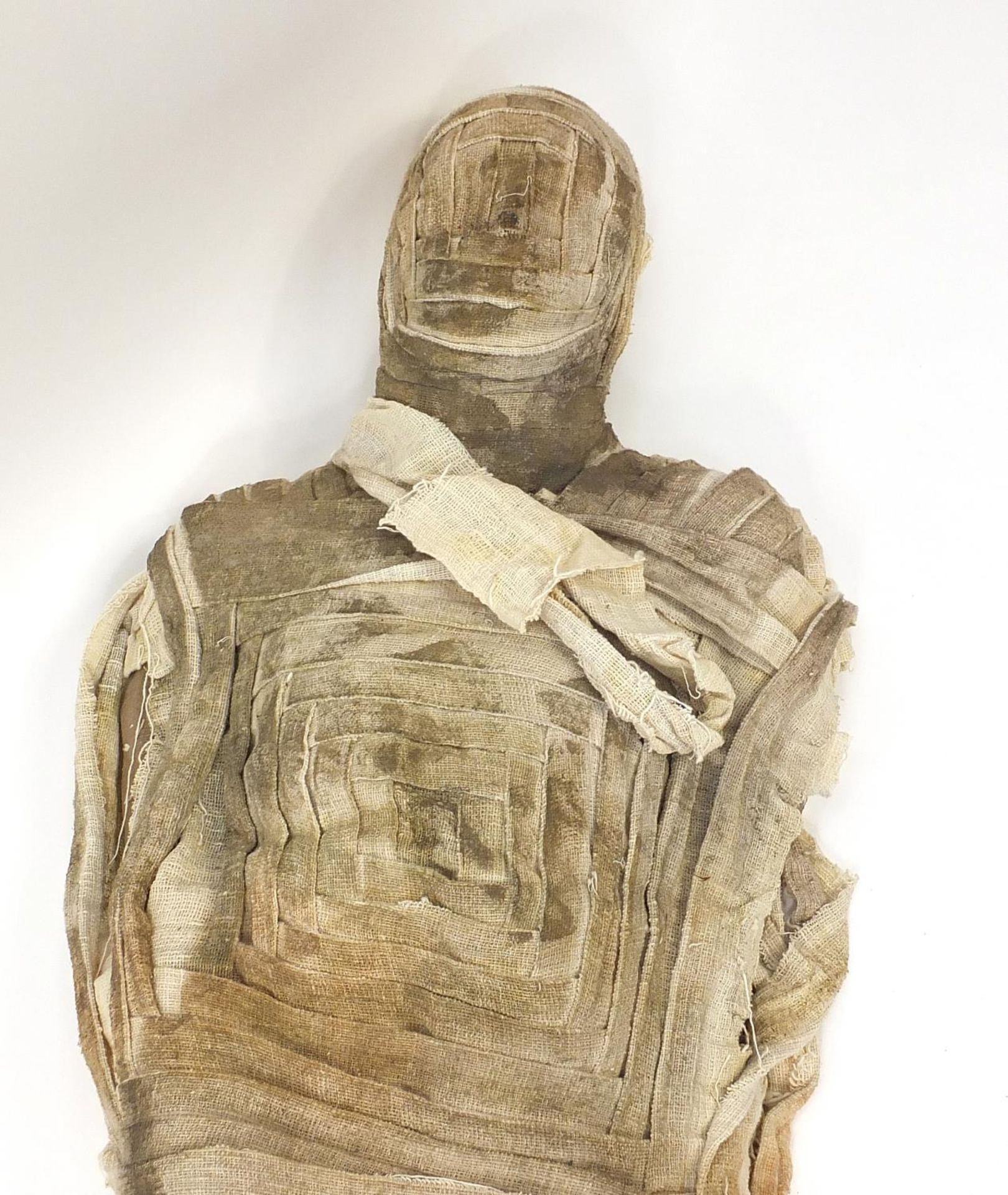 Large model of a Mummy, 205cm in length : - Image 2 of 5