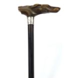 Ebonised walking stick with carved horn dog's head design whistle handle and silver collar, 87.5cm