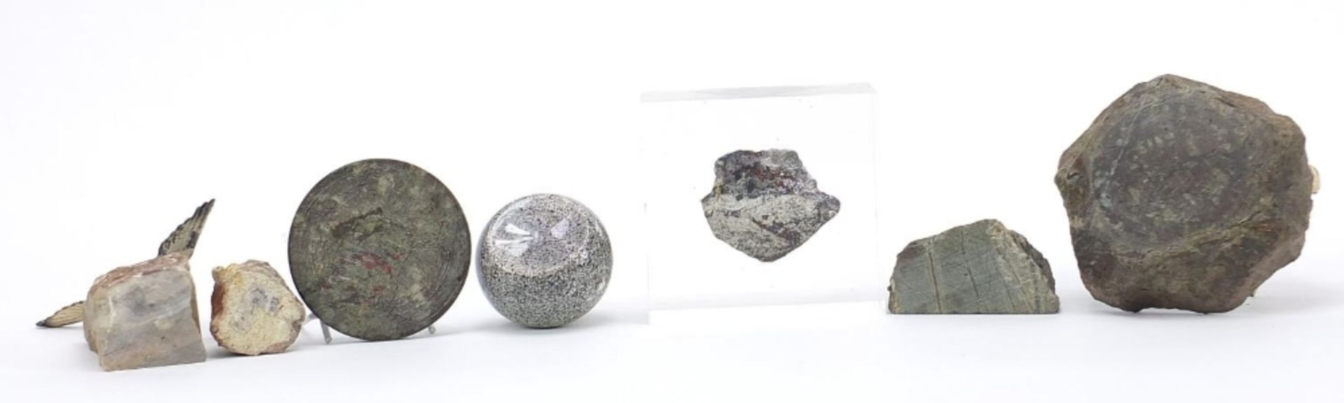 Rocks and hardstones including a serpentine marble compass design paperweight and cold painted - Image 10 of 10