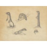 Edwin (Ted) Chicken - Weasel study, Mustela Nivalis, signed pencil drawings, details verso, mounted,