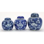 Three Chinese blue and white porcelain ginger jars hand painted with prunus flowers, each with