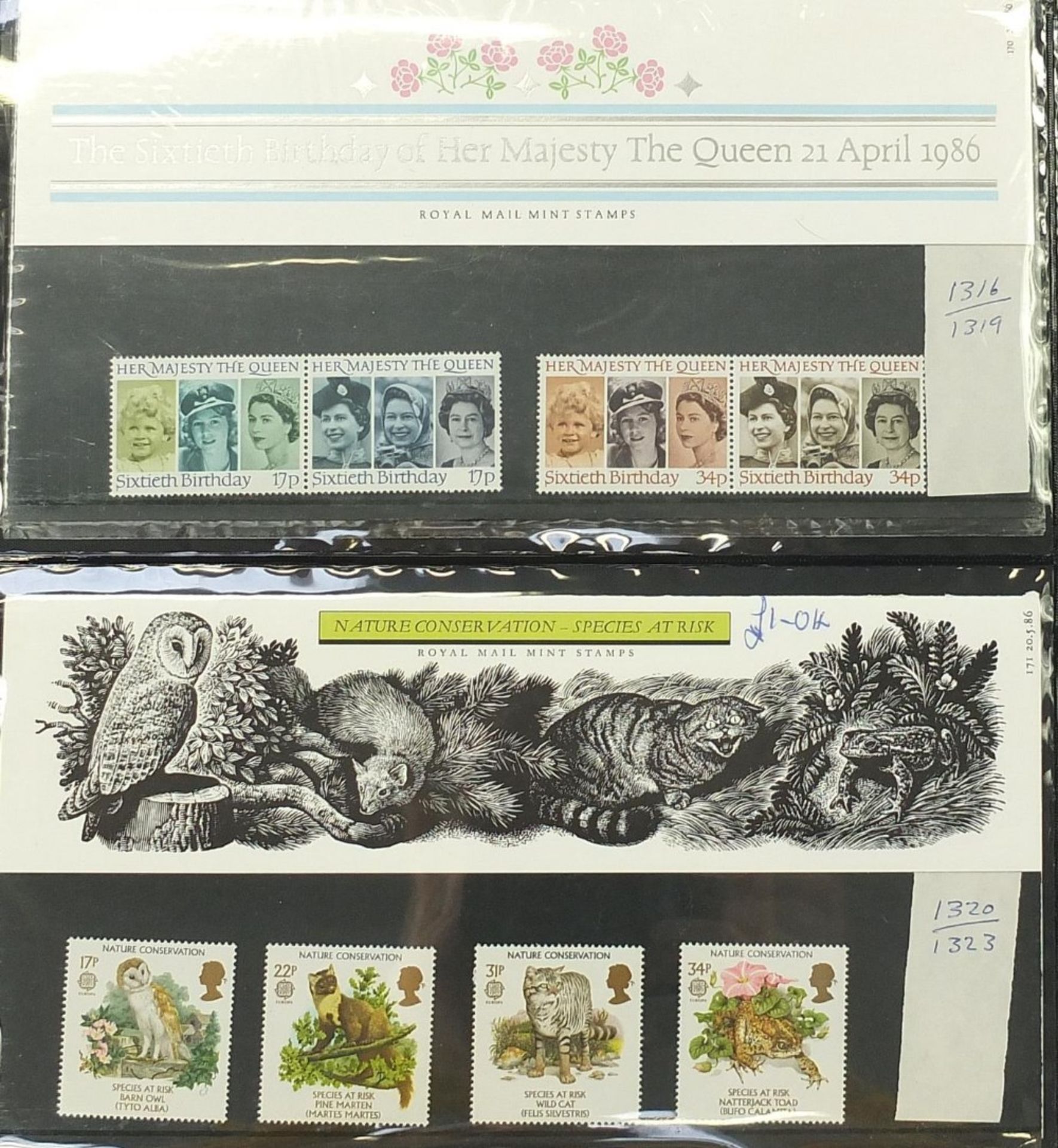 Extensive collection of stamps, covers and mint presentation packs arranged in albums including - Image 9 of 51