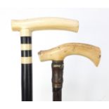 Two walking sticks with ivory handles including one with ebony shaft, the largest 90cm in length :