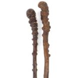 Two antique root wood walking sticks, the largest 75cm in length :For Further Condition Reports