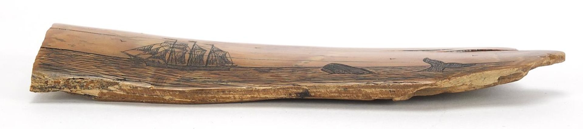 Scrimshaw mammoth tooth ivory section carved with a ship and whale, 14.5cm wide :For Further - Image 3 of 3
