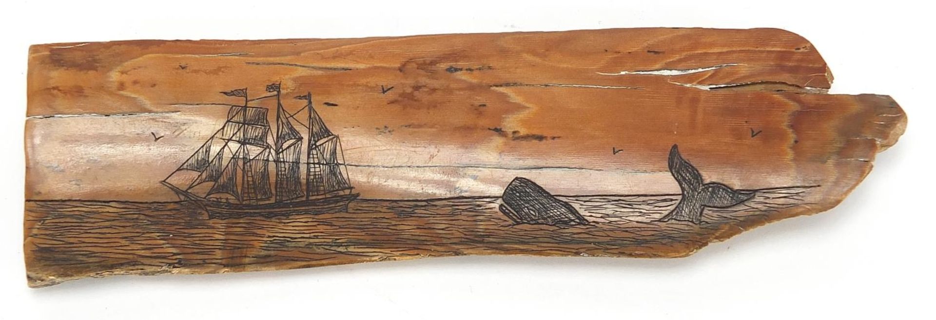 Scrimshaw mammoth tooth ivory section carved with a ship and whale, 14.5cm wide :For Further