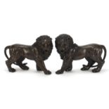 Large pair of Grand Tour style patinated bronze lions, 30cm in length :For Further Condition Reports