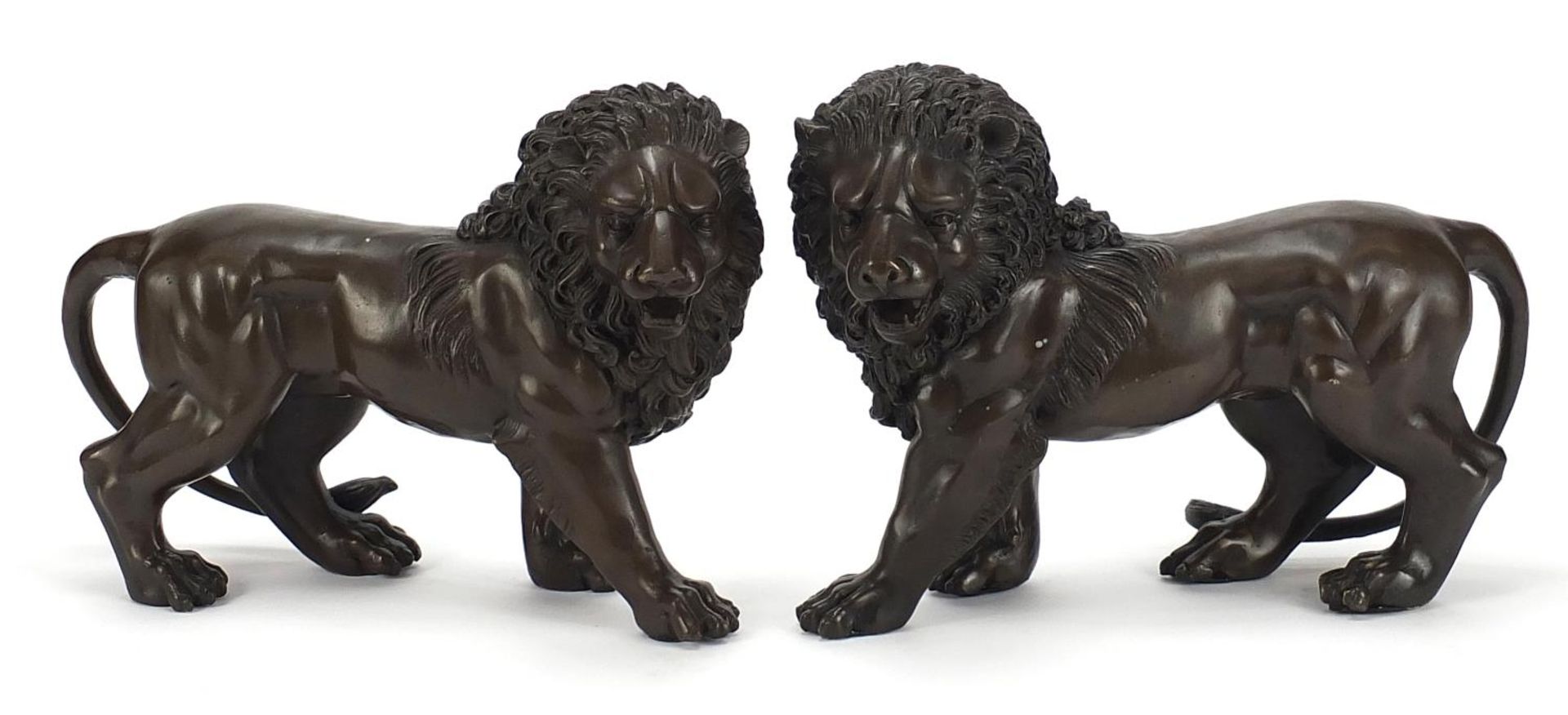 Large pair of Grand Tour style patinated bronze lions, 30cm in length :For Further Condition Reports