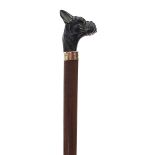 Hardwood walking stick with silver collar and bronzed dog's head design handle, 86.5cm in length :