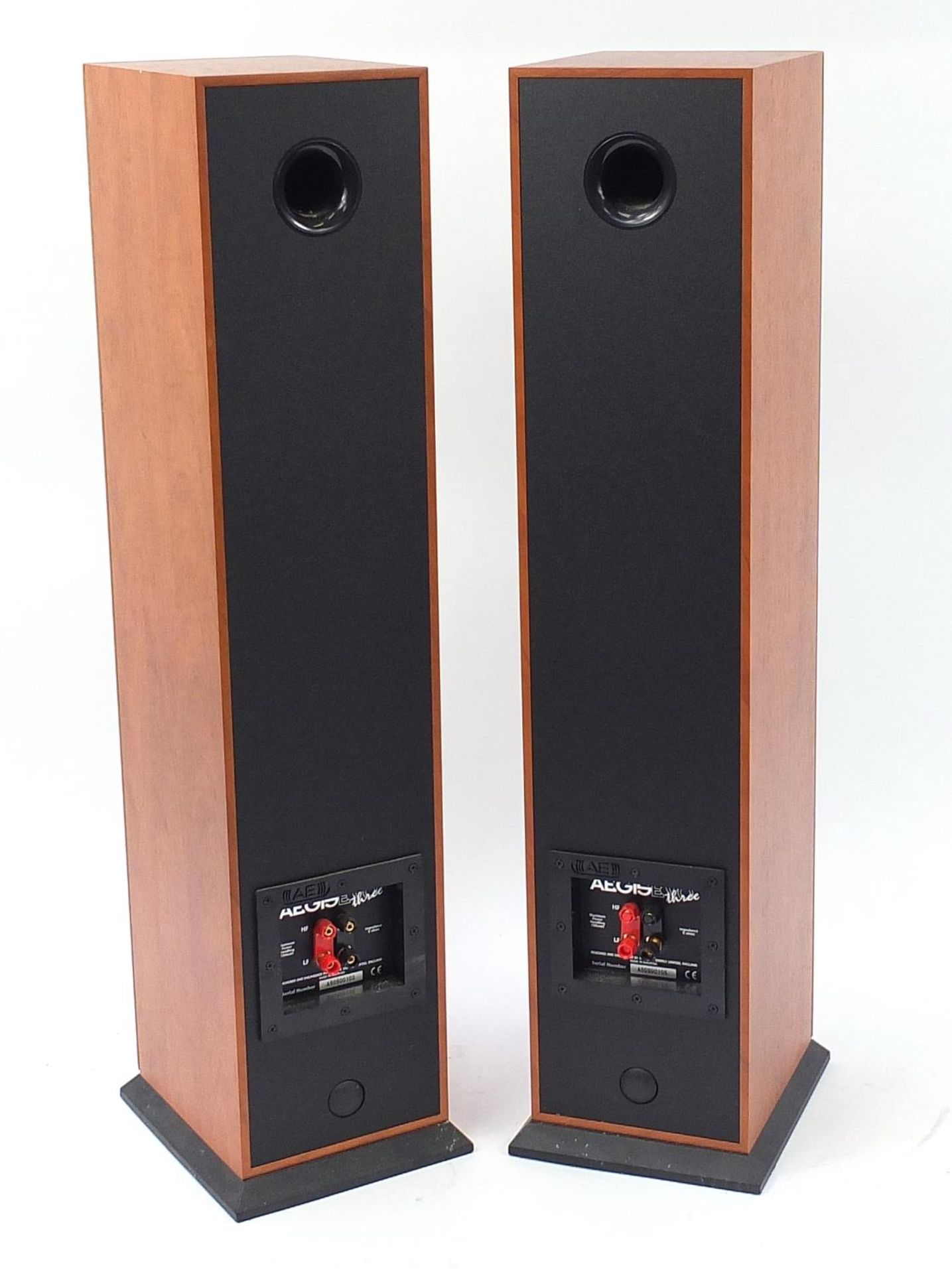 Aegis Evo Three, pair of floor standing speakers, serial number A50500103, 91cm high :For Further - Image 3 of 4