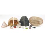 Fossils, stones and shells including amethyst bookends and fossilised fish, the largest 22cm wide :