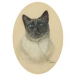Betty Wells - Portrait of a cat, pastel, mounted, framed and glazed, 17.5cm x 13cm excluding the