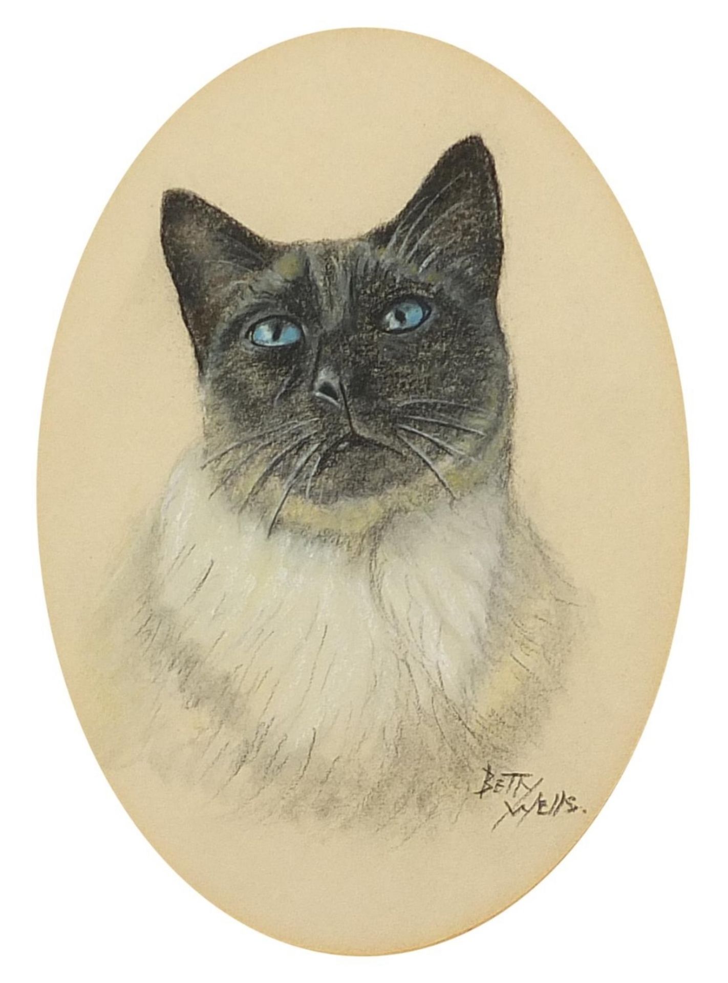 Betty Wells - Portrait of a cat, pastel, mounted, framed and glazed, 17.5cm x 13cm excluding the