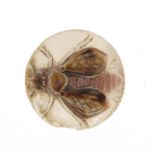 Antique cameo panel carved with a fly, 2cm in diameter, 1.4g :For Further Condition Reports Please