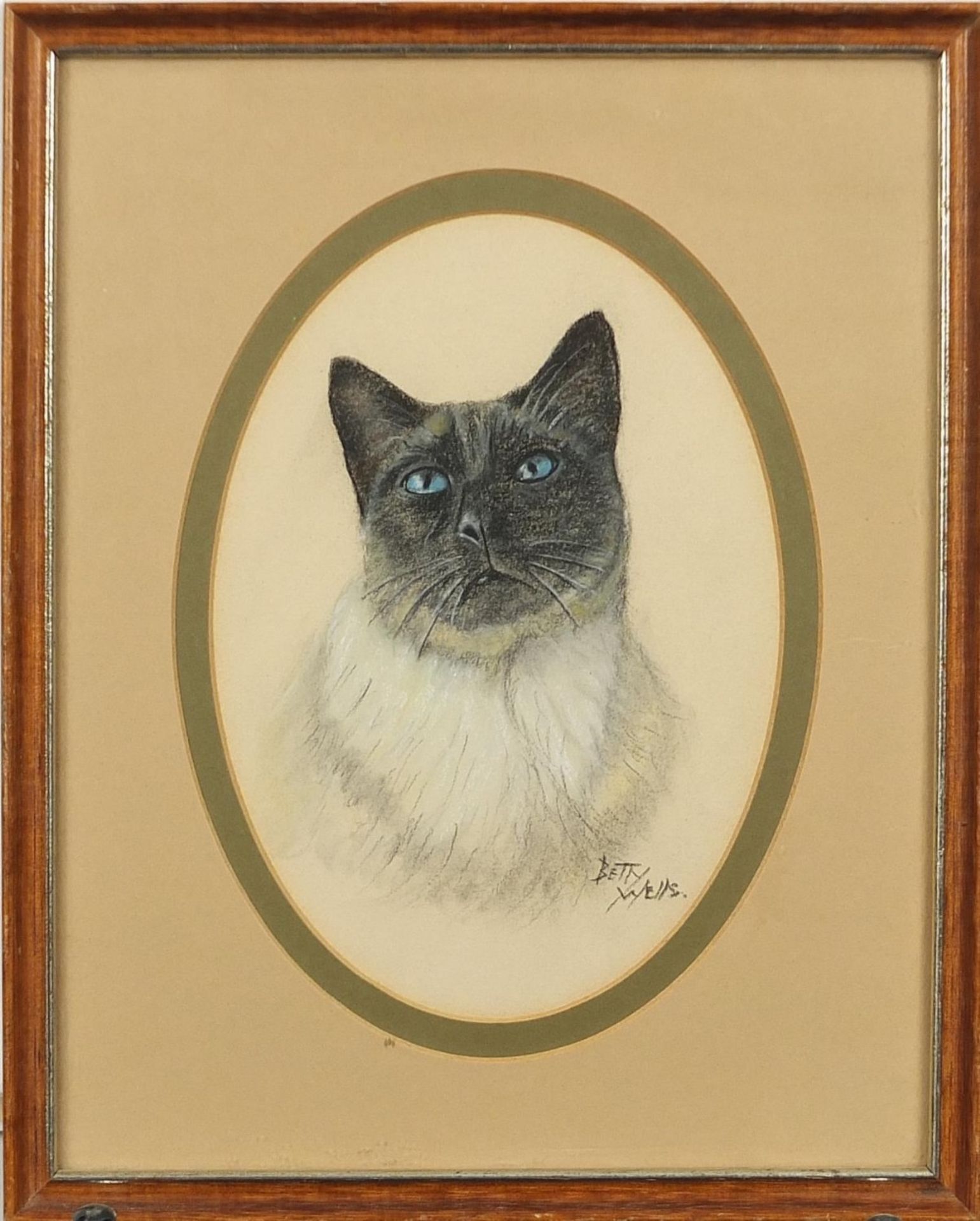 Betty Wells - Portrait of a cat, pastel, mounted, framed and glazed, 17.5cm x 13cm excluding the - Image 2 of 4
