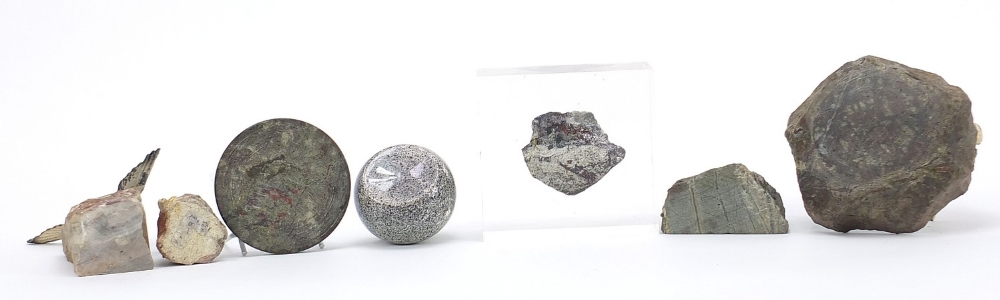 Rocks and hardstones including a serpentine marble compass design paperweight and cold painted - Image 9 of 10