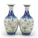 Pair of Chinese blue and white porcelain vases hand painted in the famille rose palette with birds