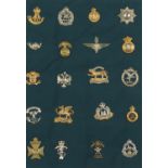 Framed glazed display of military interest cap badges including The Lifeguards and Parachute