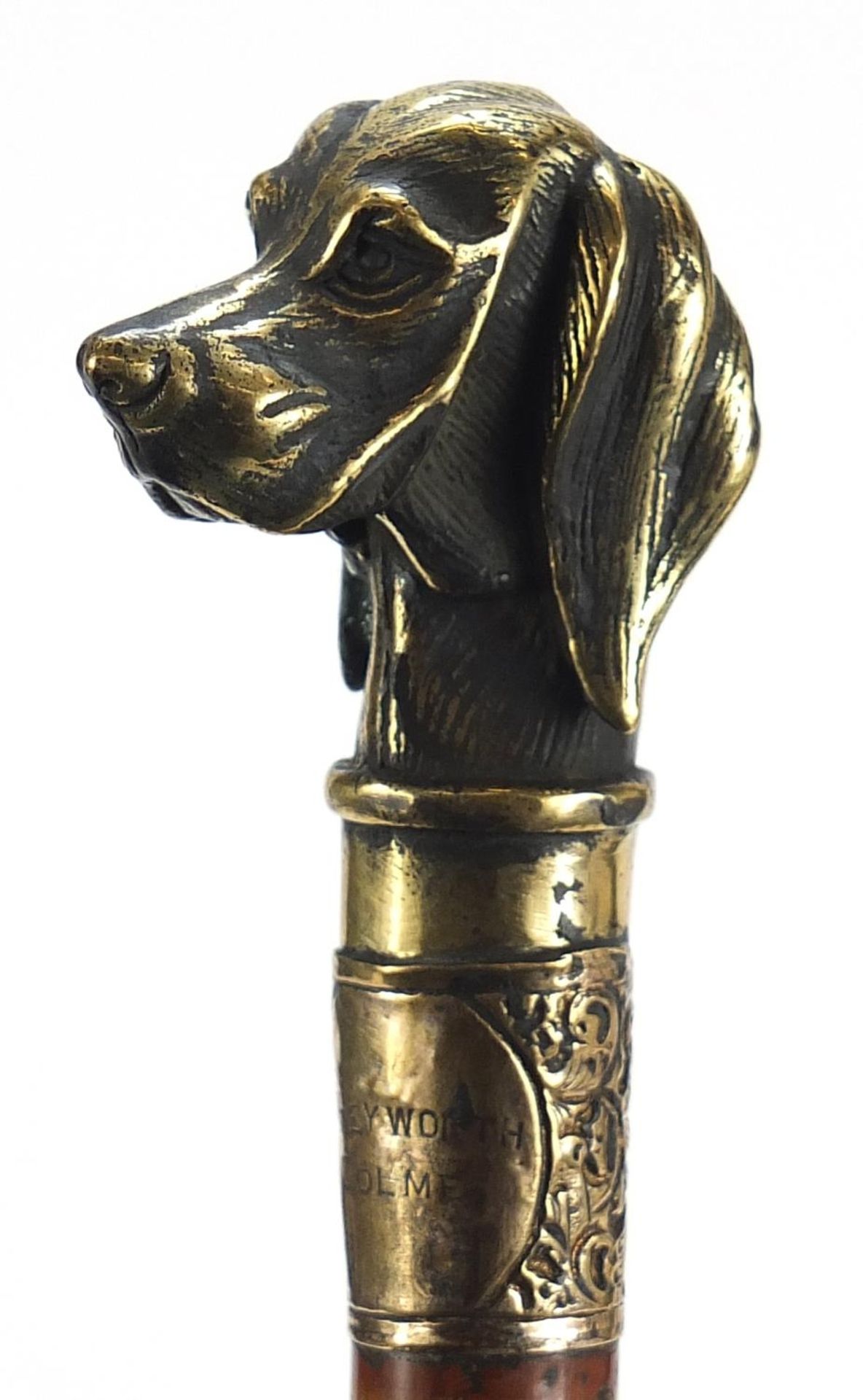 Malacca walking can with brass dog head handle and silver coloured metal collar, 84cm in length :For - Image 2 of 5