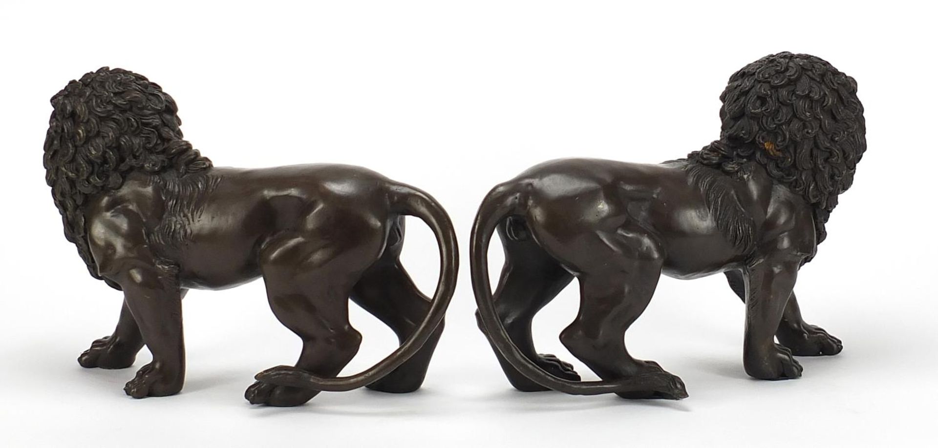 Large pair of Grand Tour style patinated bronze lions, 30cm in length :For Further Condition Reports - Image 2 of 4