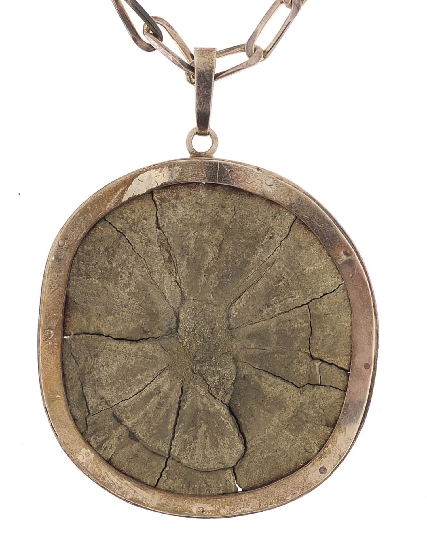 Large silver tree cross section pendant on a silver necklace, London 1989, 7cm high and 68cm in
