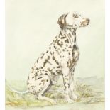 Belinda Sillars - George, seated Dalmatian, watercolour, mounted, framed and glazed, 21.5cm x 19.5cm