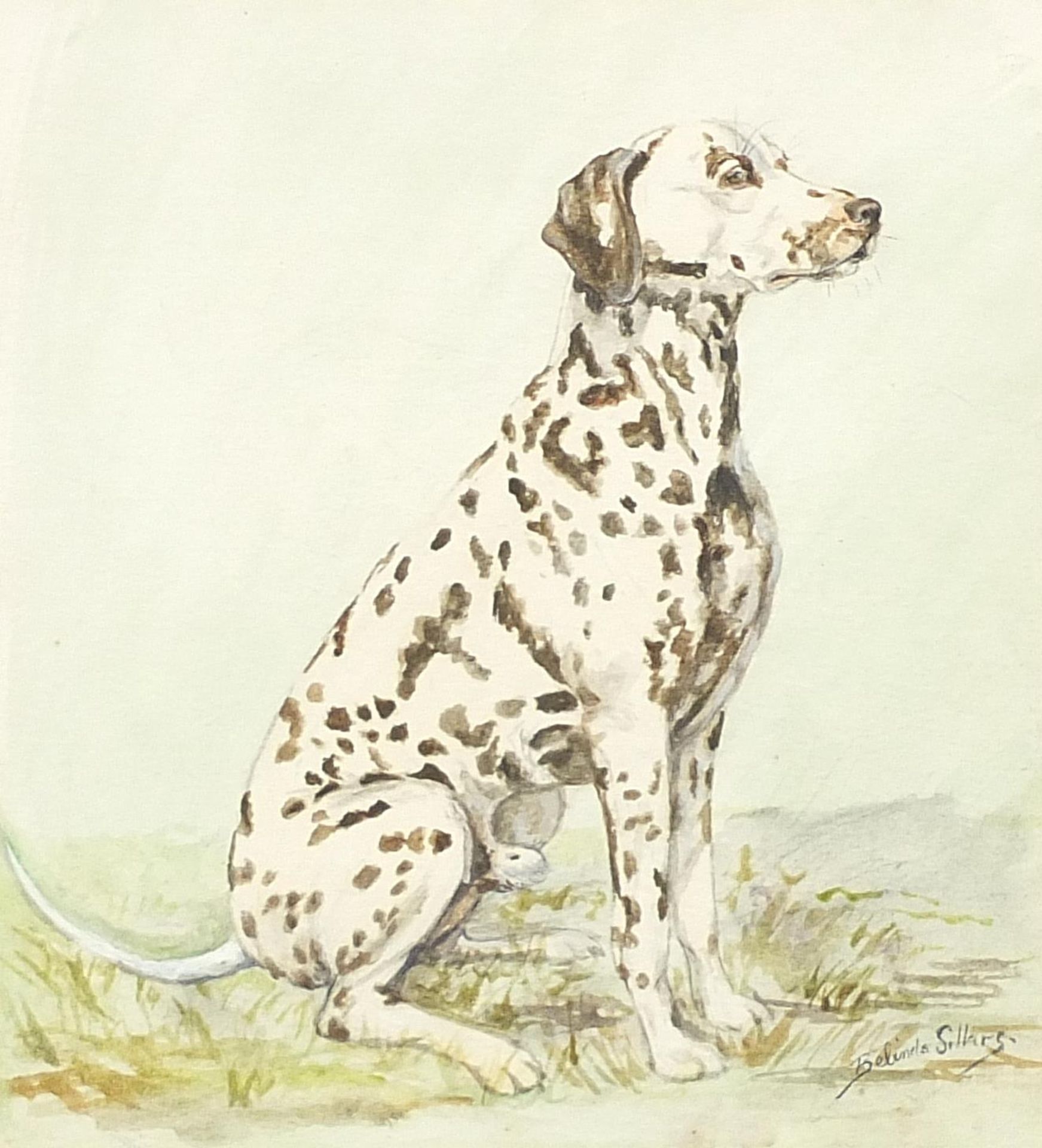 Belinda Sillars - George, seated Dalmatian, watercolour, mounted, framed and glazed, 21.5cm x 19.5cm