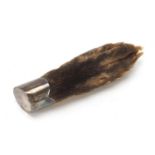Taxidermy interest white metal mounted otter paw brooch, 11cm in length : For Further Condition