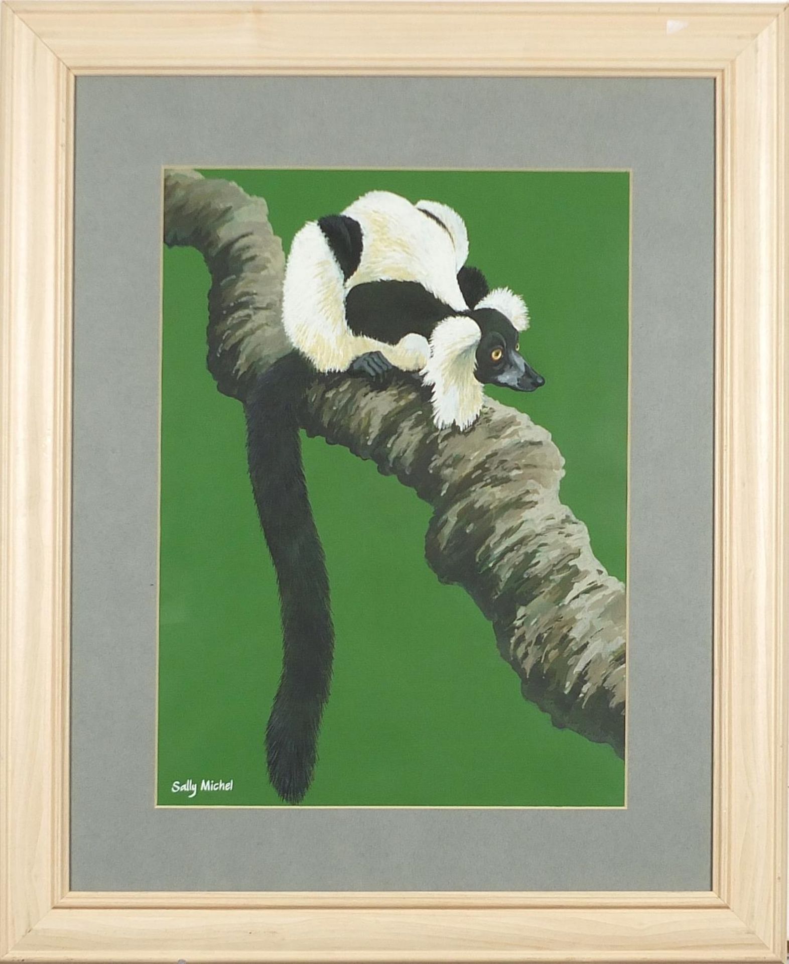 Sally Michel SWLA - Black and white ruffed lemur, signed gouache, exhibition label verso, mounted, - Image 2 of 5