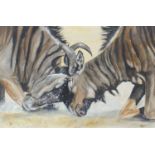 Will Smith - Fighting wildebeests, watercolour, monogrammed, mounted, framed and glazed, 47cm x 30.