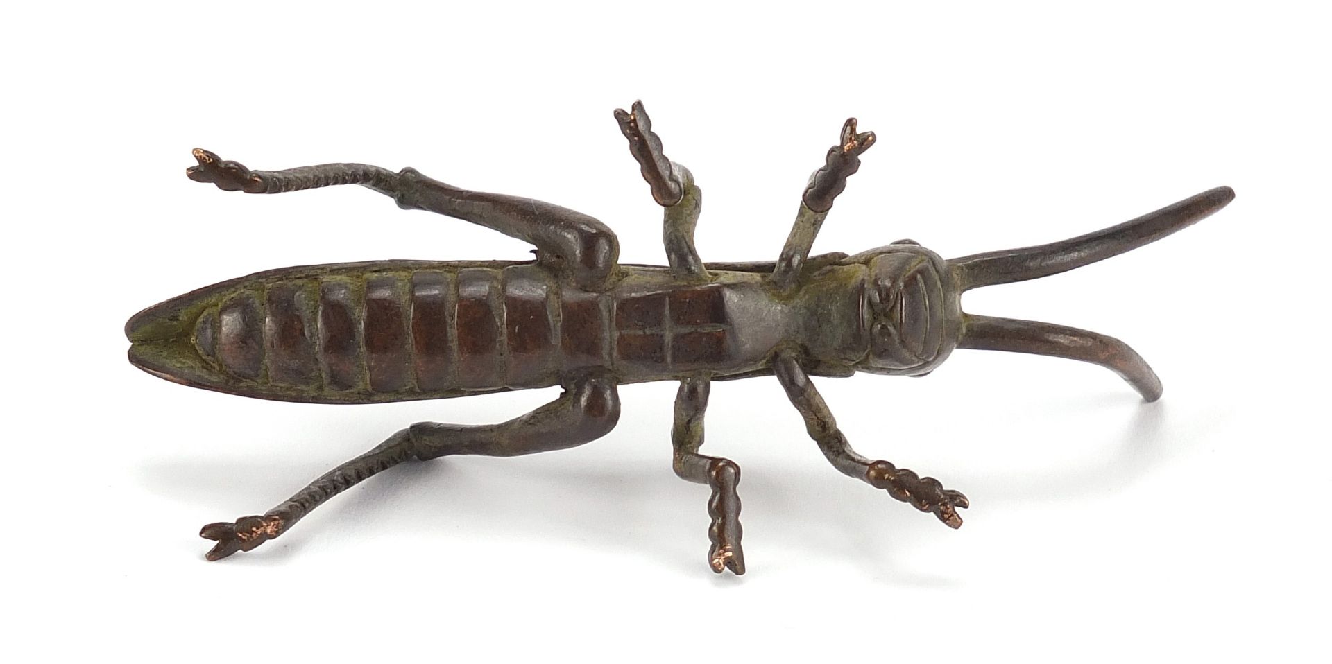 Large Japanese patinated bronze locust, 11cm in length : For Further Condition Reports Please - Bild 7 aus 7