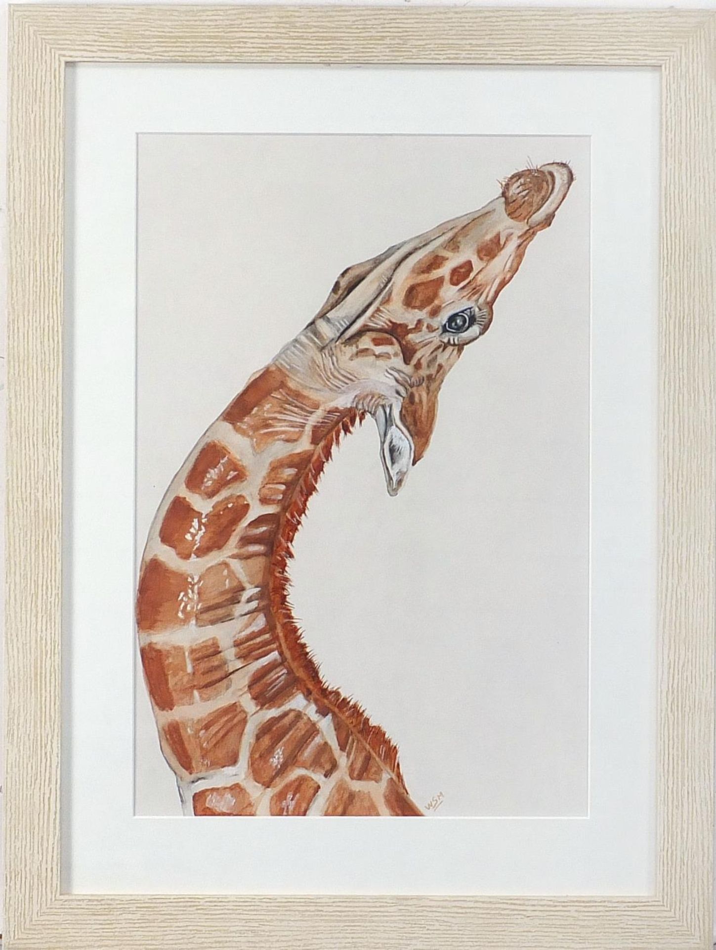 Will Smith - Portrait of a giraffe, watercolour, monogrammed, mounted, framed and glazed, 46.5cm x - Image 2 of 4