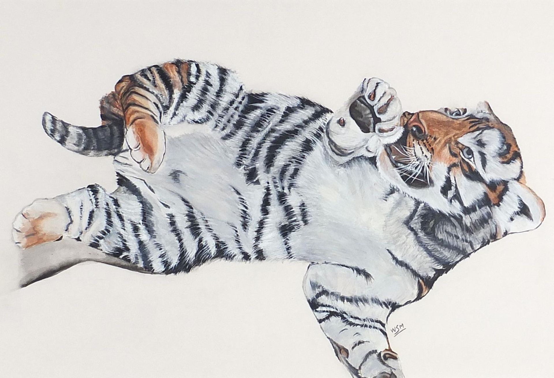Will Smith - Young tiger playing, watercolour, monogrammed, mounted, framed and glazed, 57cm x