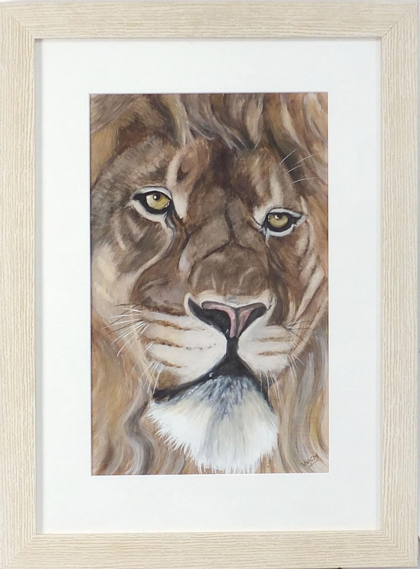 Will Smith - Portrait of a lion, watercolour, monogrammed, mounted, framed and glazed, 41cm x 25.5cm - Image 2 of 4