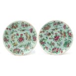Pair of Chinese Canton porcelain plates hand painted in the famille rose palette with butterflies