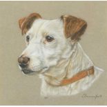 Portrait of a Terrier, pastel, mounted, framed and glazed, 24.5cm x 24.5cm excluding the mount and