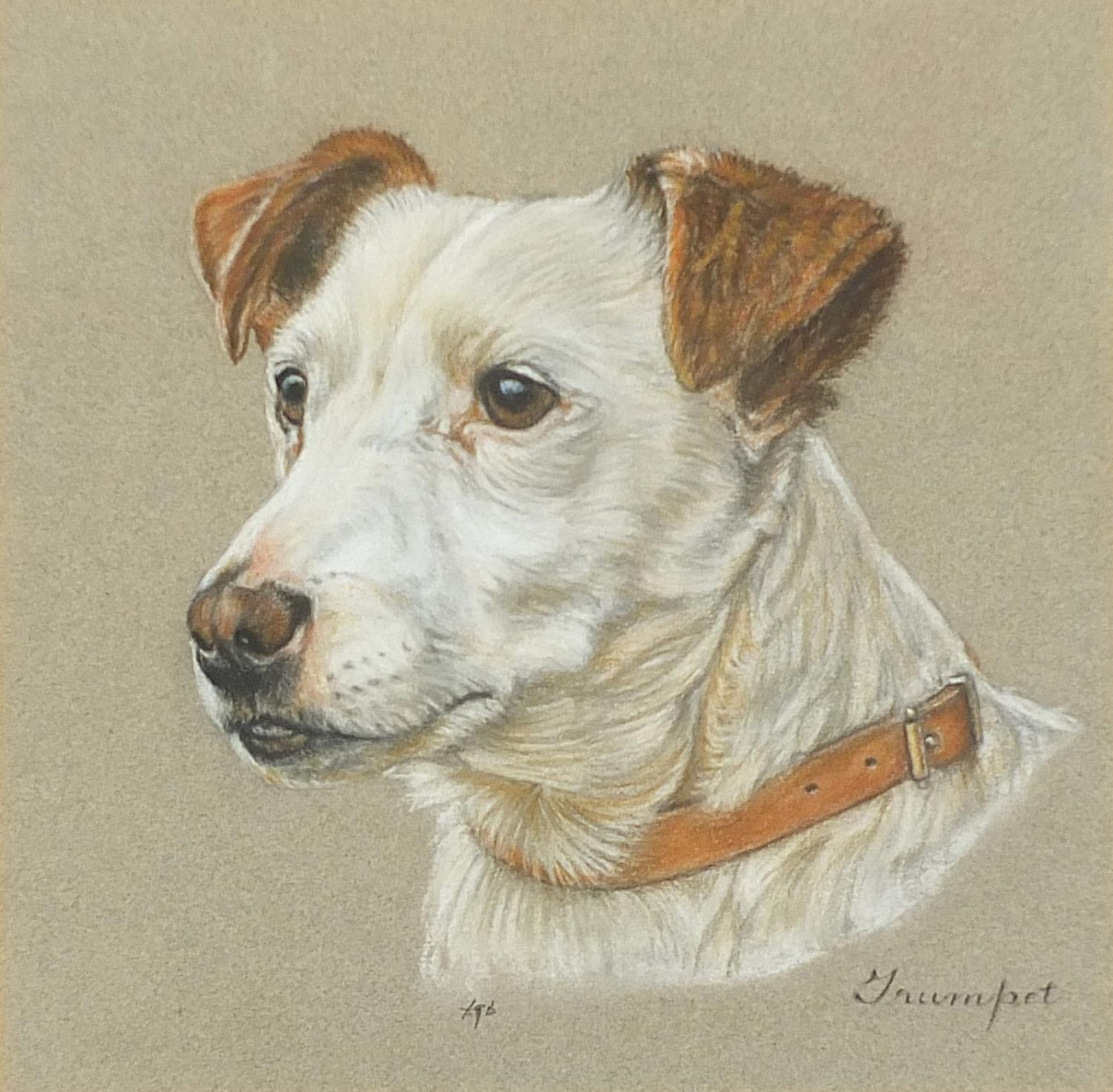 Portrait of a Terrier, pastel, mounted, framed and glazed, 24.5cm x 24.5cm excluding the mount and