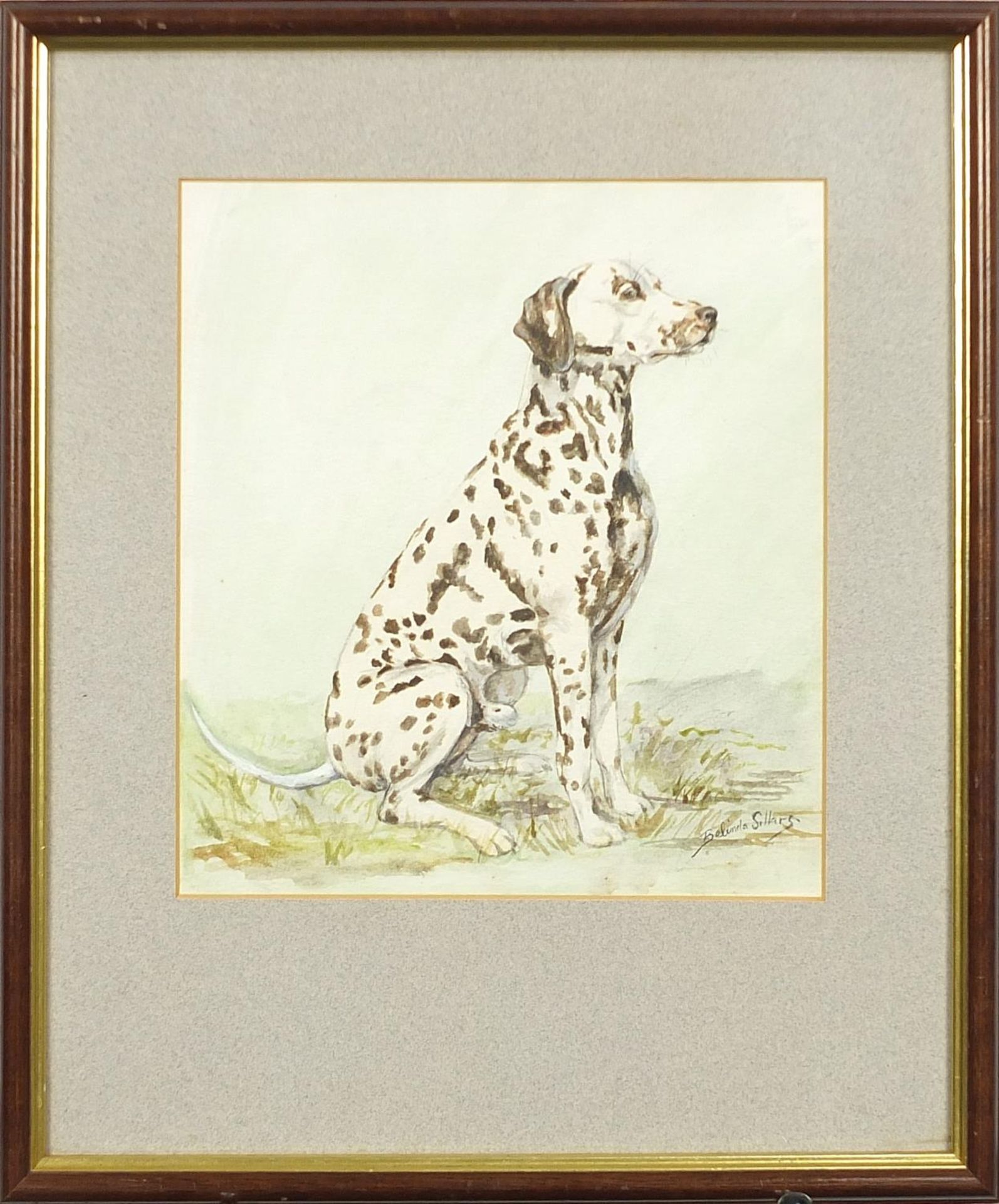 Belinda Sillars - George, seated Dalmatian, watercolour, mounted, framed and glazed, 21.5cm x 19.5cm - Image 4 of 10