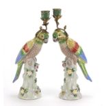 Pair of continental porcelain parrot design candlesticks with bronze mounts, each 36cm high : For