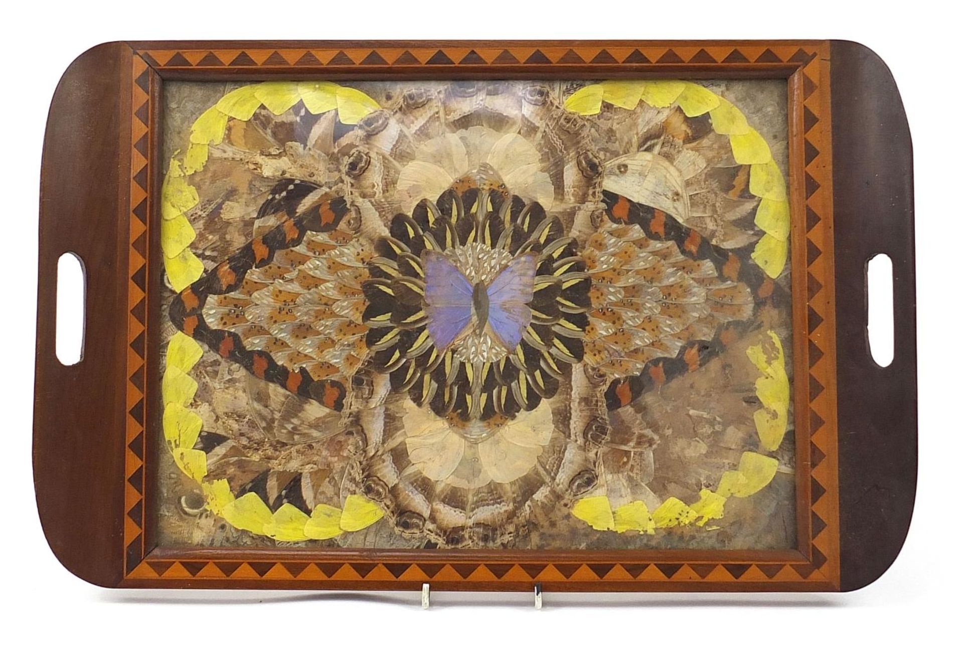 Rectangular inlaid wood and butterfly wing tray with twin handles, 52.5cm wide : For Further