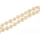 Freshwater pearl two row necklace with silver clasp, 40cm in length, 75.8g : For Further Condition